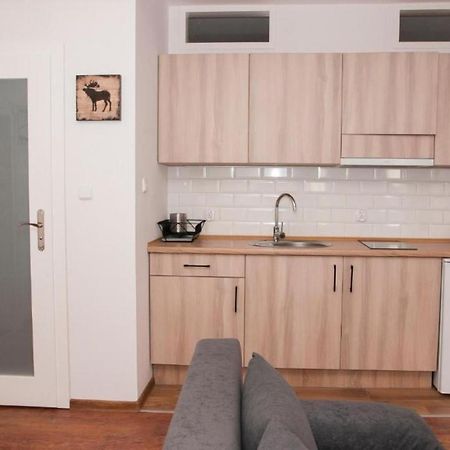 Apartament Apartament Prosta 17/1 Stary Toruń Zewnętrze zdjęcie